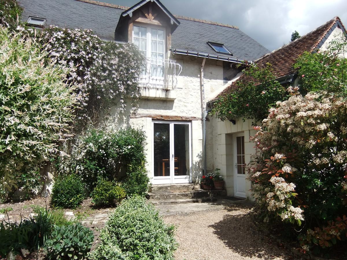 Crouzilles Le Moulin De Saussaye Bed & Breakfast エクステリア 写真