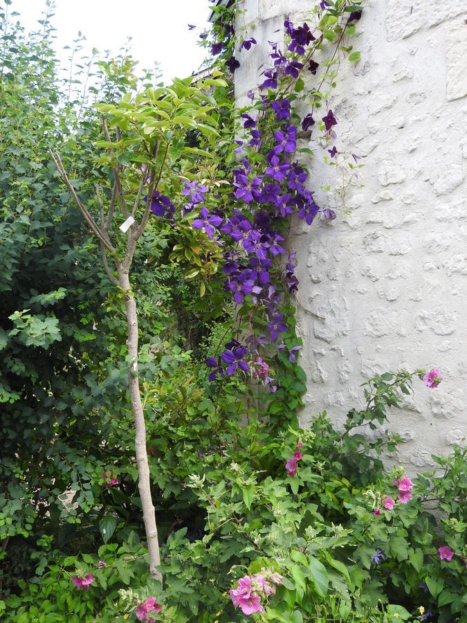 Crouzilles Le Moulin De Saussaye Bed & Breakfast エクステリア 写真