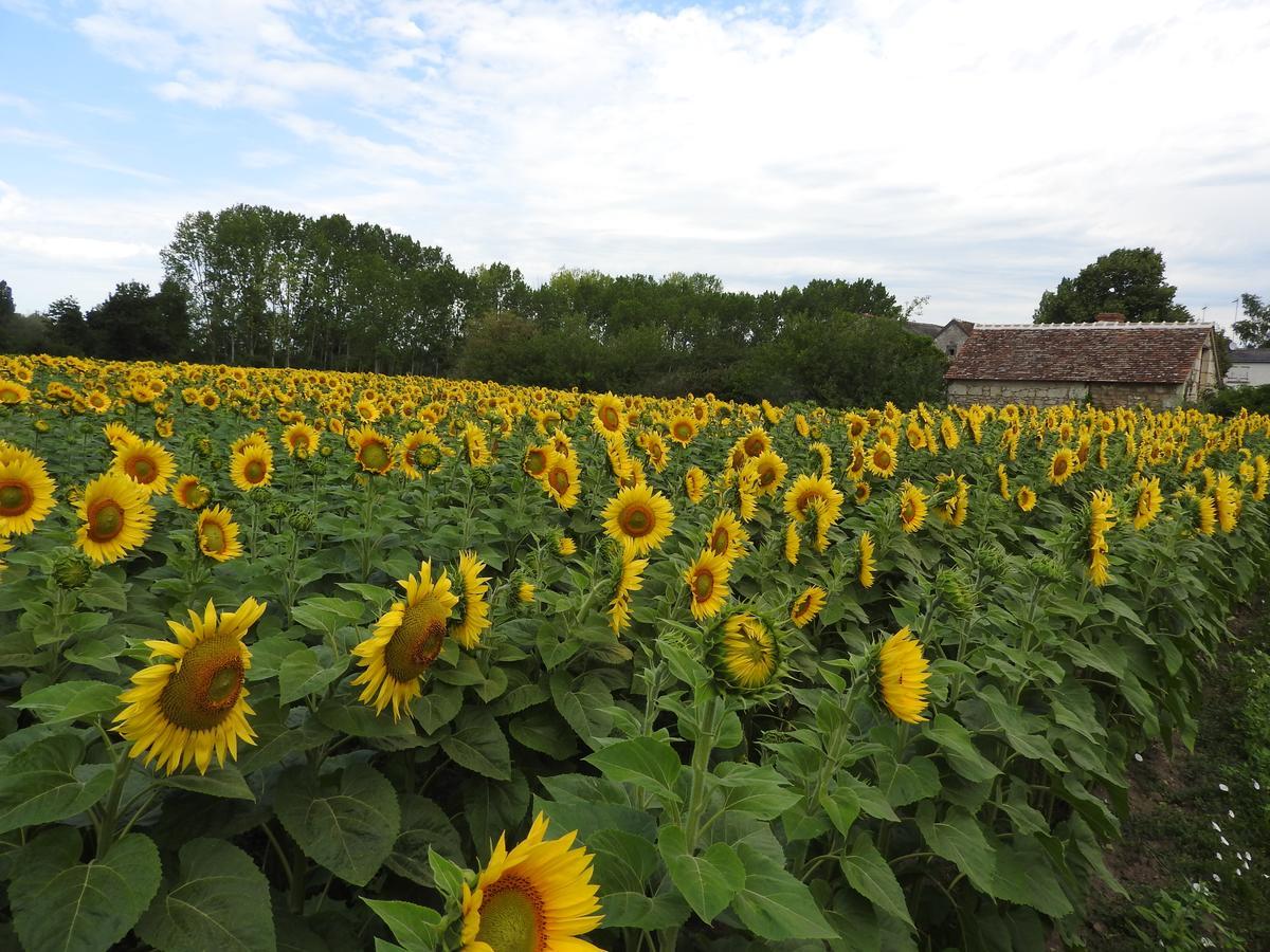 Crouzilles Le Moulin De Saussaye Bed & Breakfast エクステリア 写真